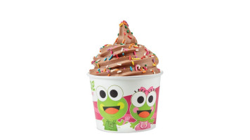 Sweetfrog Premium Frozen Yogurt food