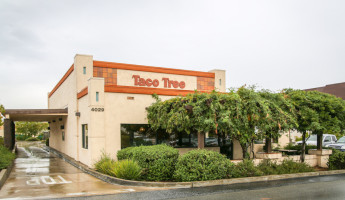 Taco Tree outside