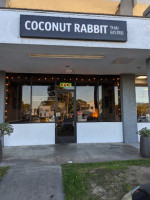Coconut Rabbit outside