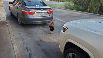 Chicken Express outside