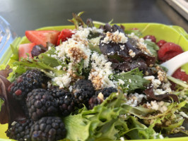 The Garden View Café At The Chicago Botanic Garden food