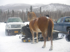 Angel Creek Lodge outside