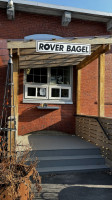 Rover Bagel food