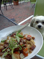 The Gkc Burger Bowls Beyond Good Karma Cafe Grill outside