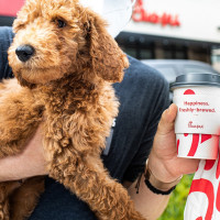 Chick-fil-a food