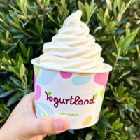 Yogurtland Hurst food