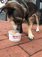 Whit's Frozen Custard food