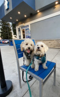 Dutch Bros Coffee outside