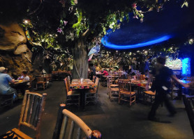 Rainforest Cafe inside