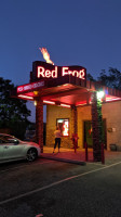 Red Frog inside