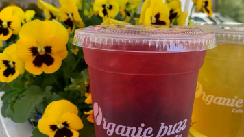 Wellness At Organic Buzz food