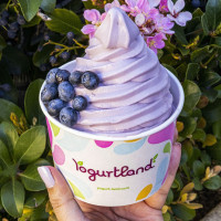 Yogurtland Hayward food