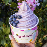 Yogurtland Mission Viejo food