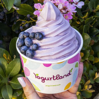 Yogurtland Inglewood food