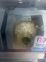 Baskin-robbins food