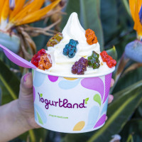 Yogurtland Watsonville food