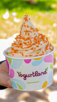 Yogurtland Arcadia food