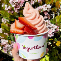 Yogurtland Gardena food