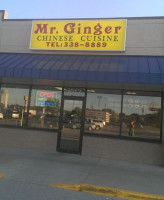 Mr. Ginger outside