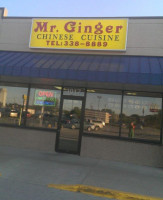 Mr. Ginger outside