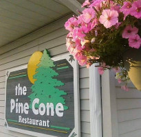 Pine Cone food