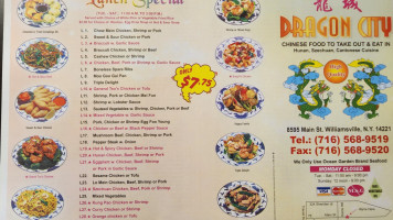 Dragon City Chinese menu