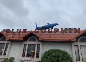 Blue Dolphin food