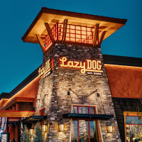 Lazy Dog Restaurant Bar food