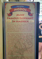 Modoc's Market inside