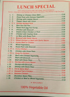 Handy Kitchen Chinese menu