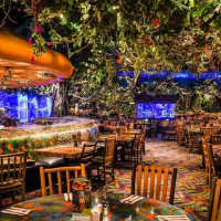 Rainforest Cafe Chicago Woodfield inside