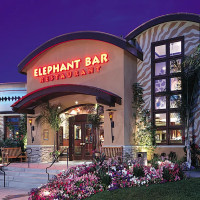 Elephant Bar Restaurant Greenwood Village food