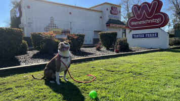 Wienerschnitzel outside