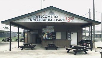 Turtle Tap food