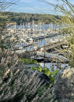 The At Friday Harbor House food