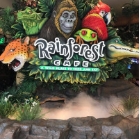 Rainforest Cafe Mall Of America food