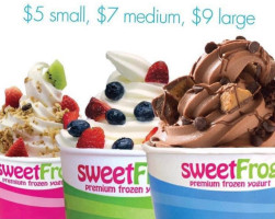 Sweetfrog Premium Frozen Yogurt food