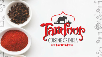 Tandoor Cuisine Of India food