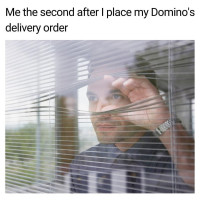 Domino's Pizza food