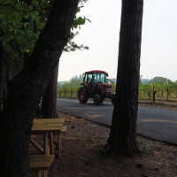 Madrona Vineyards outside