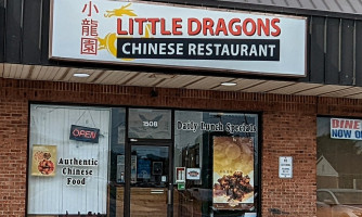 Little Dragons outside