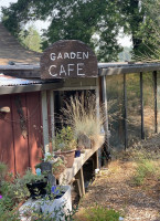 Mountain Sage outside