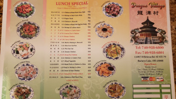 Dragon Village Of Buckeye Lake menu