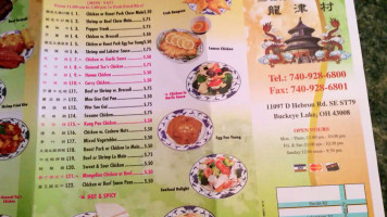 Dragon Village Of Buckeye Lake menu