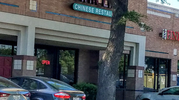 Twin Lion Chinese food