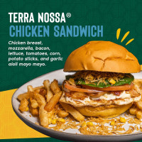 Terra Nossa Brazilian Grill Braintree Ma food