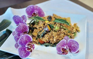 Bangkok Orchid food