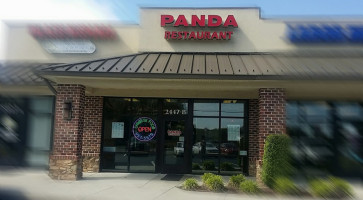 Panda outside