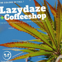 Lazydaze food