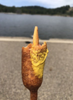 Pronto Pup food